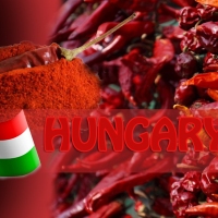 Veal Paprikash ~ A Taste of Hungary!